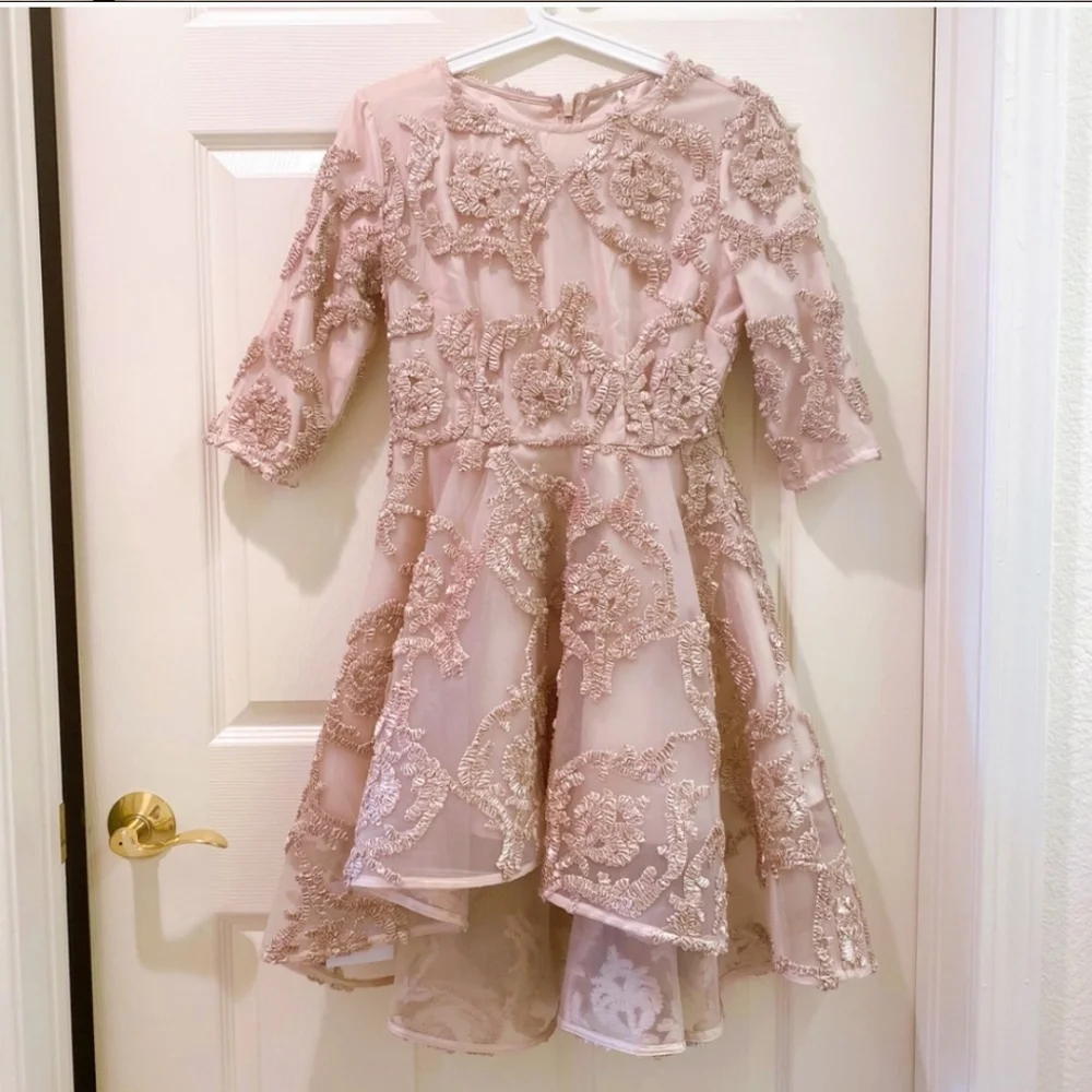 Mesh Dress - Picture 2 of 6